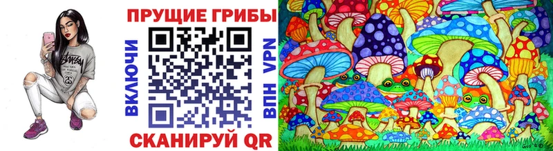 omg как войти  как найти наркотики  Рубцовск  Псилоцибиновые грибы Psilocybine cubensis 